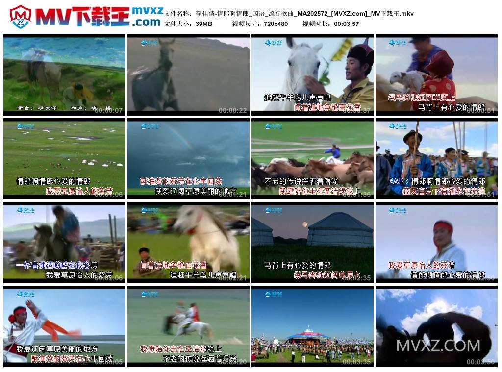 李佳倩-情郎啊情郎_国语_流行歌曲_MA202572